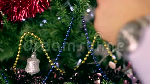 圣诞树装饰11视频的预览图