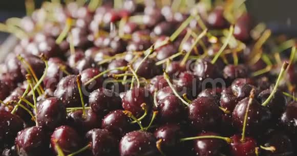 一个潮湿的红色成熟多汁的樱桃与水滴落在浆果上樱桃背景慢动作多利视频的预览图