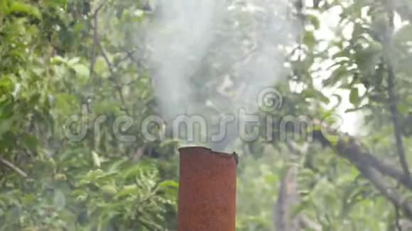 苹果树背景上生锈的金属管道上的烟雾视频的预览图
