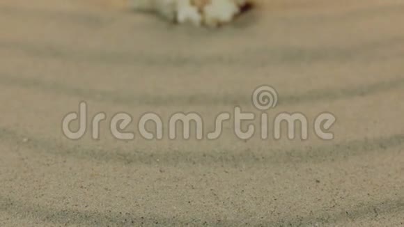 在沙滩上旋转白色的珊瑚化石孤立视频的预览图