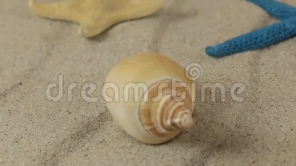 在沙滩上旋转的贝壳和海星特写镜头视频的预览图