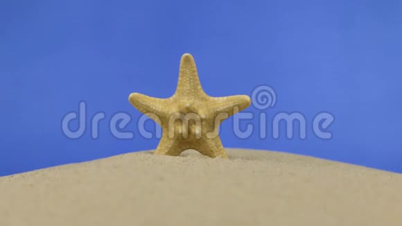 沙子上美丽的海星放大孤立视频的预览图