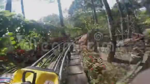 丛林里的过山车视频的预览图