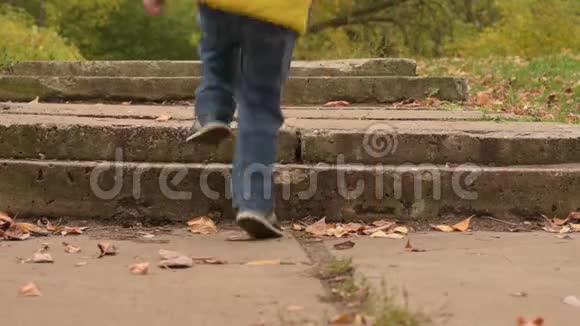 秋季公园活动玩三岁的男孩在户外跑楼梯视频的预览图