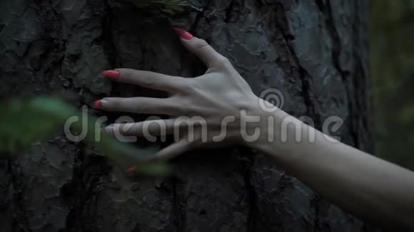 一个身穿黑色斗篷的女人用长长的指甲近距离地伸出手在傍晚接触到一棵树的树皮视频的预览图