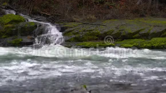 瀑布流入Umpqua河俄勒冈州森林景观视频的预览图