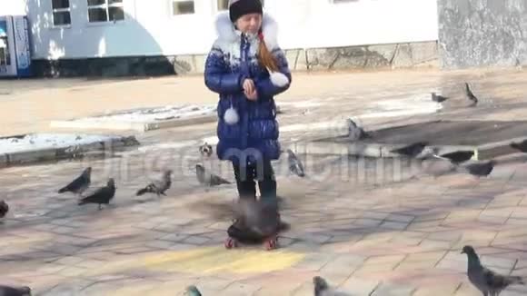 快乐快乐的小女孩追逐鸽子视频的预览图