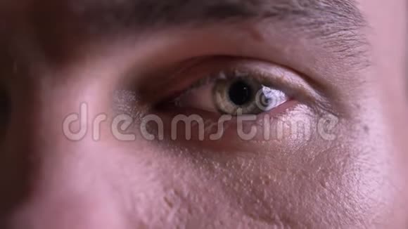 特写美丽的白种人男性灰色眼睛直视镜头视频的预览图