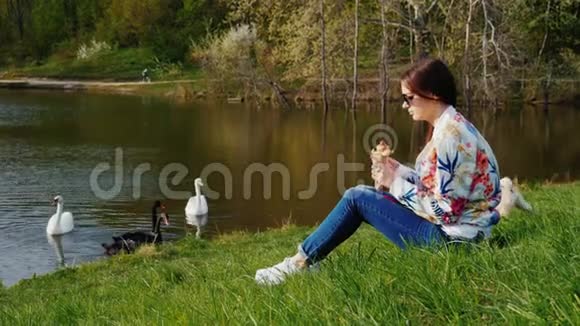 一个年轻的女人正在湖边的公园里休息吃着一只热狗一只狗在附近玩耍天鹅在湖上游泳A视频的预览图