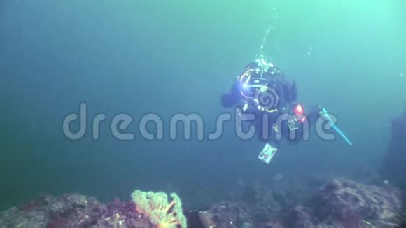 水下海底潜水器轮廓视频的预览图