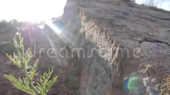 悬崖顶山岗花岗岩阳光夕阳美丽观天性生活方式视频的预览图