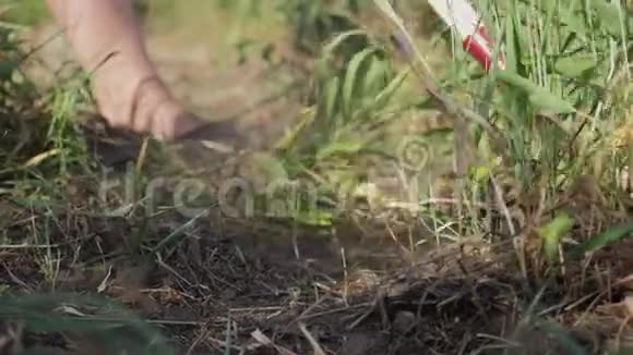 农民打扫草地农民除草锄草慢动作视频农业概念生活方式夏季花园视频的预览图
