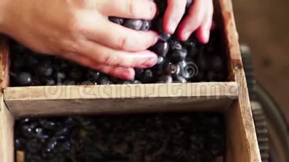 这个人把黑葡萄装进榨汁机里视频的预览图