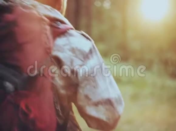 一个人背着一个穿着迷彩服的背包独自穿过森林猎人在探索这片领土视频的预览图