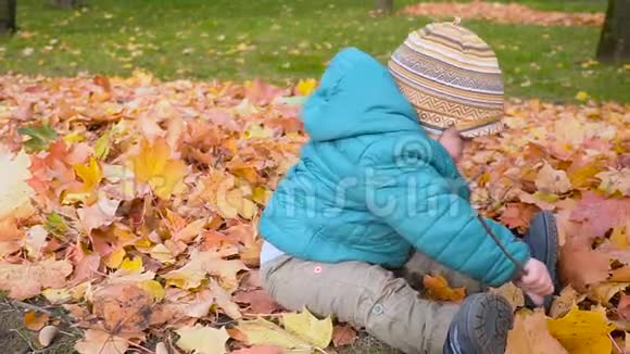 男孩在秋天的树林里和沐浴在叶子stealam视频的预览图