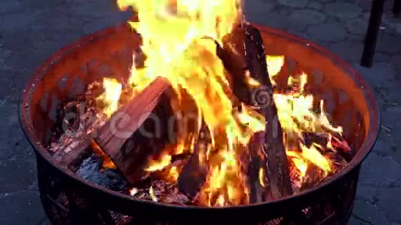 营火营火夏季燃烧松果特写的明亮篝火火焰在大自然的夜晚视频的预览图