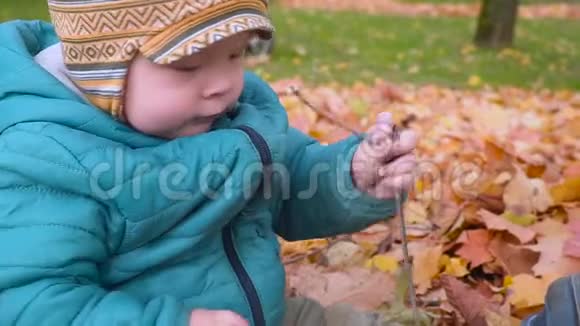 小男孩在秋天的树林里爬行和沐浴在树叶里stealam视频的预览图