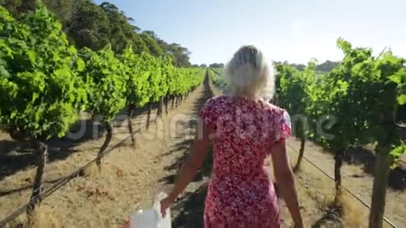 澳大利亚葡萄园的女人视频的预览图