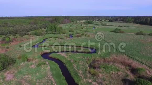 沼泽河流绿色草地鸟瞰图视频的预览图