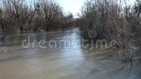 载江流这条河从岸边出来视频的预览图
