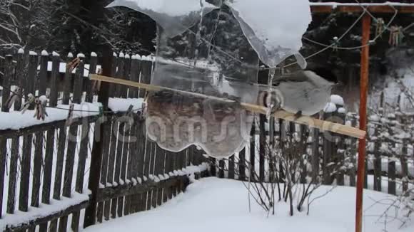 欧亚蓝雀冬季的煤雀视频的预览图
