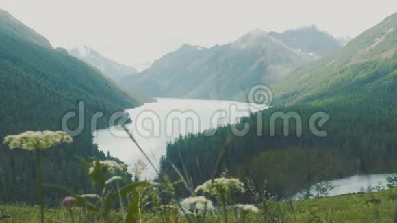 在库切尔拉湖上日出可以看到俄罗斯阿尔泰共和国的贝鲁卡山视频的预览图