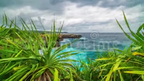 通过努沙克宁加岛热带植物的叶子观察岩石和海洋的时间推移视频的预览图