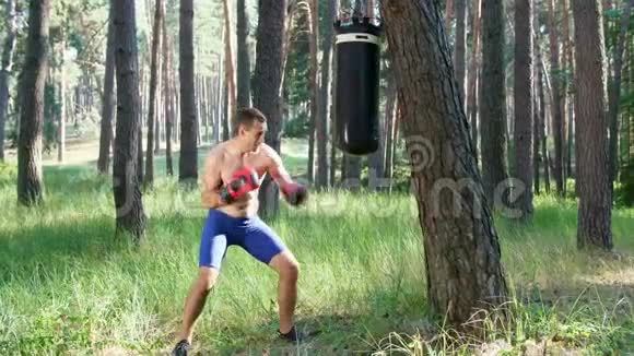 在拳击手套中年轻的运动员裸露的躯干盒子练习击球技术与视频的预览图