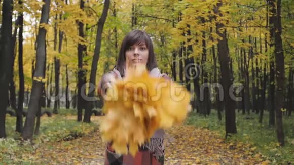 扔到上面的黄叶子里秋天的女孩在城市公园散步快乐可爱美丽的年轻女子画像视频的预览图
