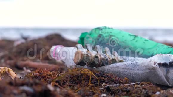 风暴过后沙滩上的海藻中有塑料瓶死蟹动物遗骸和其他碎片视频的预览图
