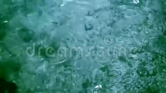 水的流动视频的预览图