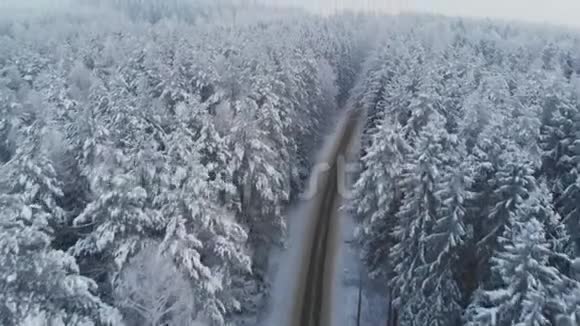 冬季森林中自由农村公路的俯视图视频的预览图
