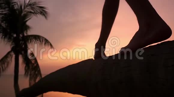 把男腿合上在美丽的日落中年轻人在热带海滩的棕榈树上散步慢动作旅费视频的预览图