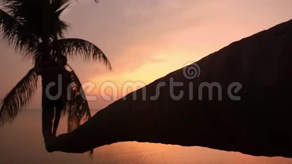 海滩与椰子棕榈树在惊人的日落时间慢动作1920x1080视频的预览图
