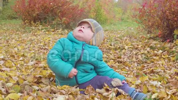 小男孩在秋天的树林里爬行和沐浴在树叶里stealam视频的预览图
