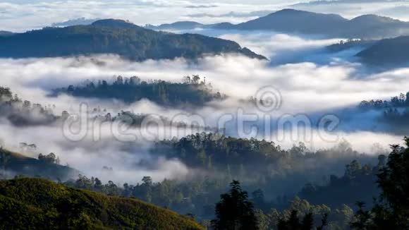 斯里兰卡森林山脉晨雾景观视频的预览图