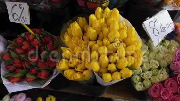 在花店市场贸易各种美丽的彩色郁金香视频的预览图