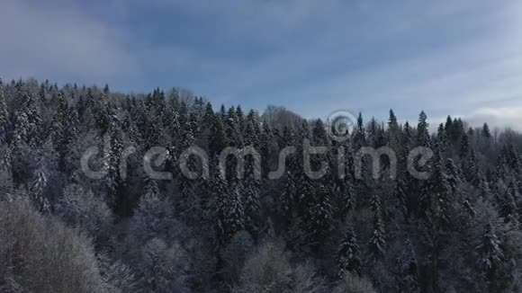 冰雪覆盖的树木大自然美丽的冬天视频的预览图