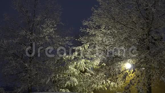 雪在暴风雪中继续落在最近犁起的停车场上视频的预览图