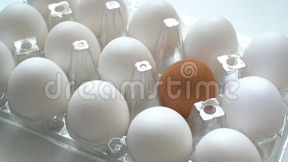 孤独的棕色鸡蛋和白色的差异观念个性视频的预览图