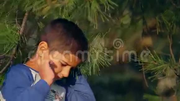 男孩躲在松枝上视频的预览图