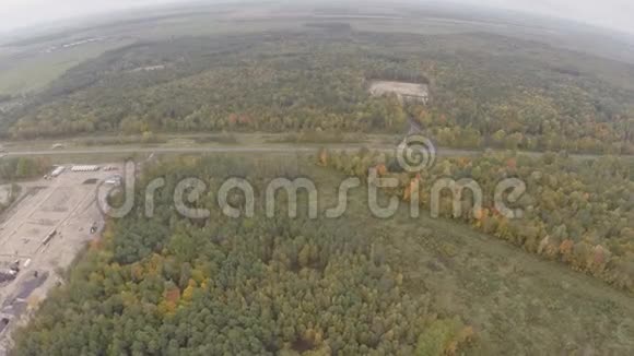四架直升机飞过秋林秋天的阴天视频的预览图