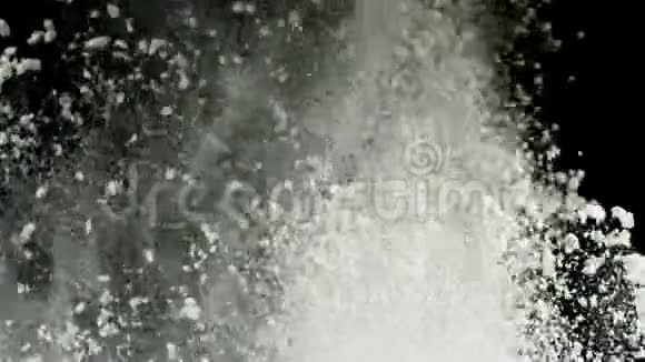 白色干粉爆炸白色灰尘落下来隔离在黑色背景上库存录像为了白色而关闭视频的预览图