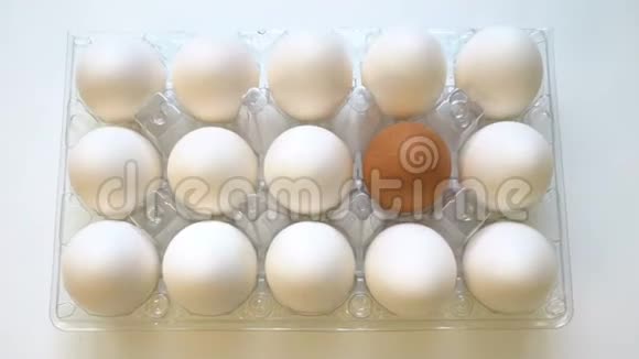 孤独的棕色鸡蛋和白色的差异观念个性视频的预览图
