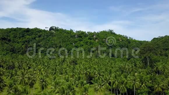 远在绿树丛中的热带小岛上私人幽僻别墅的空中景色视频的预览图