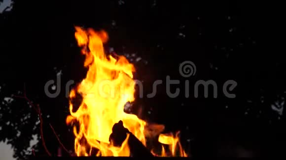 红火在夜间燃烧特写镜头慢动作视频的预览图