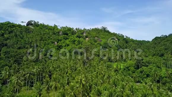 远在绿树丛中的热带小岛上私人幽僻别墅的空中景色视频的预览图