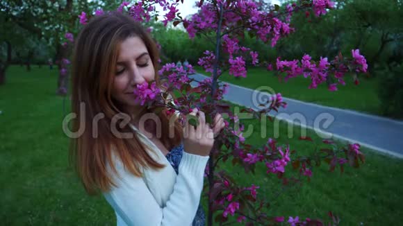 美丽的自然女人在一个盛开的苹果园闻着花视频的预览图