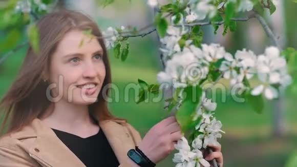 美丽的年轻女子在春天的苹果园享受大自然快乐的美丽女孩在花园里盛开的树香气视频的预览图