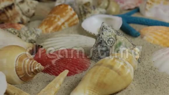 旋转浅棕色美丽的贝壳和海星在沙子上视频的预览图